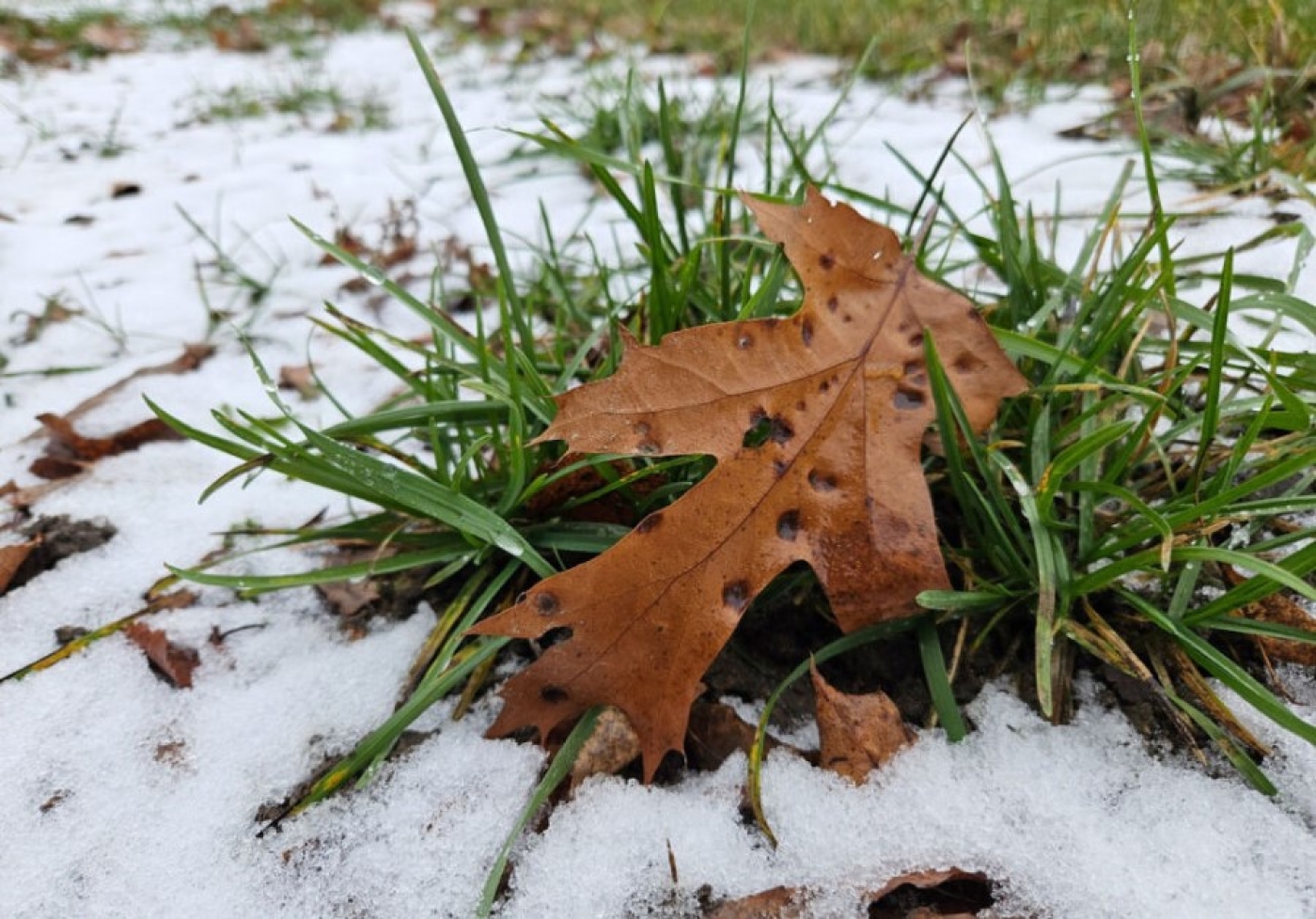 Где в Беларуси сегодня будет теплее всего, рассказали синоптики