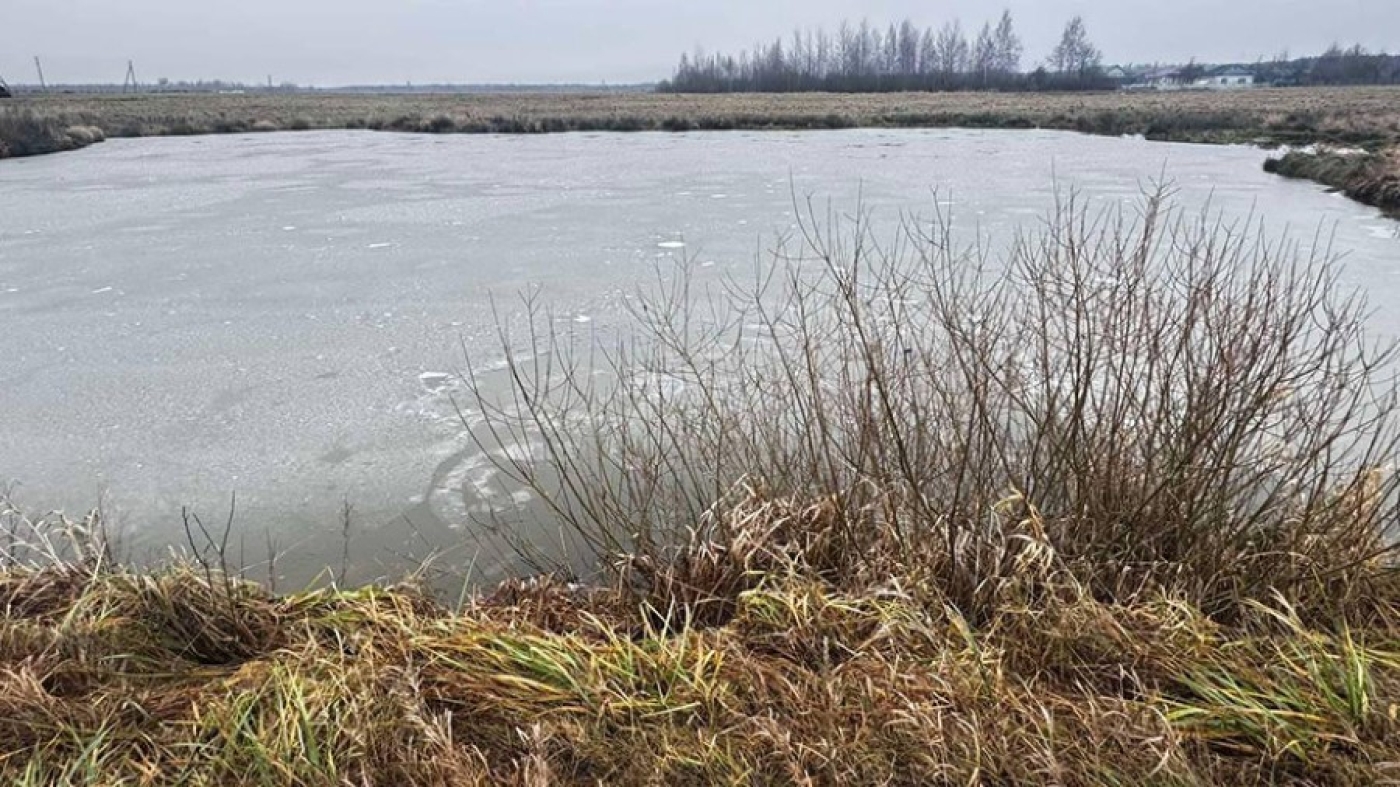 Мужчина утонул в пруду-копани в Борисовском районе
