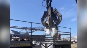 Житель Минской области пытался незаконно вывезти из Беларуси металлолом стоимостью около Br15 тыс.