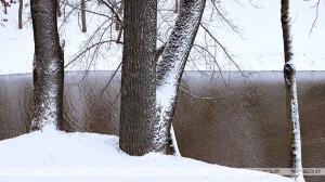 Каким ожидается весеннее половодье, рассказали в Белгидромете