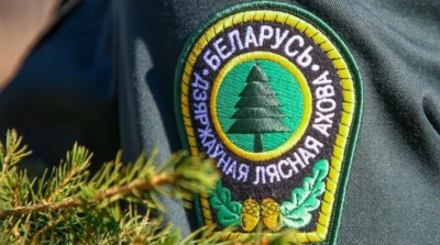 Лучших работников лесной отрасли наградили в День Конституции