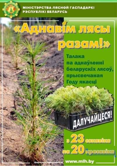 Акция «Восстановим леса вместе!» стартует на Березинщине