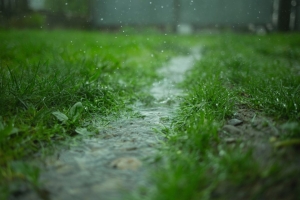 До +28°С, дожди и грозы. Какой будет погода в Беларуси 7-12 июня