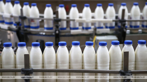 Губернатор предложил Лукашенко поднять цены на молоко. Ответ Президента его не обрадовал