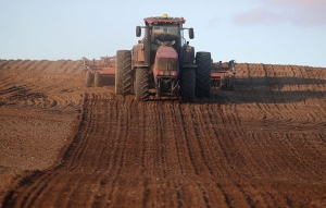 Три области Беларуси завершили сев озимых зерновых