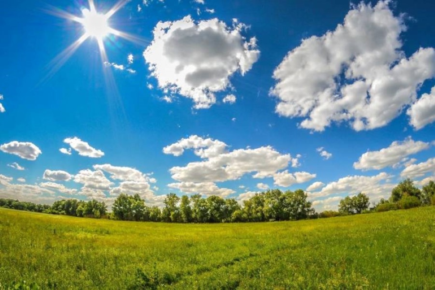 Погода в Беларуси 14 августа: без осадков, слабый туман и до +30 °С