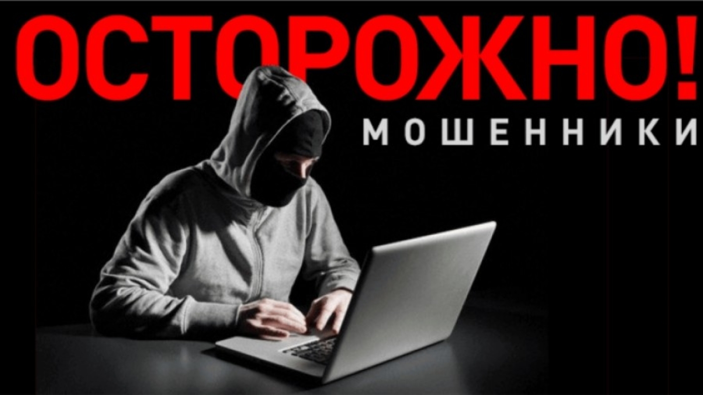 «Вишинг, фишинг, «Алло, мама!». Правоохранители рассказали об основных видах мошенничества