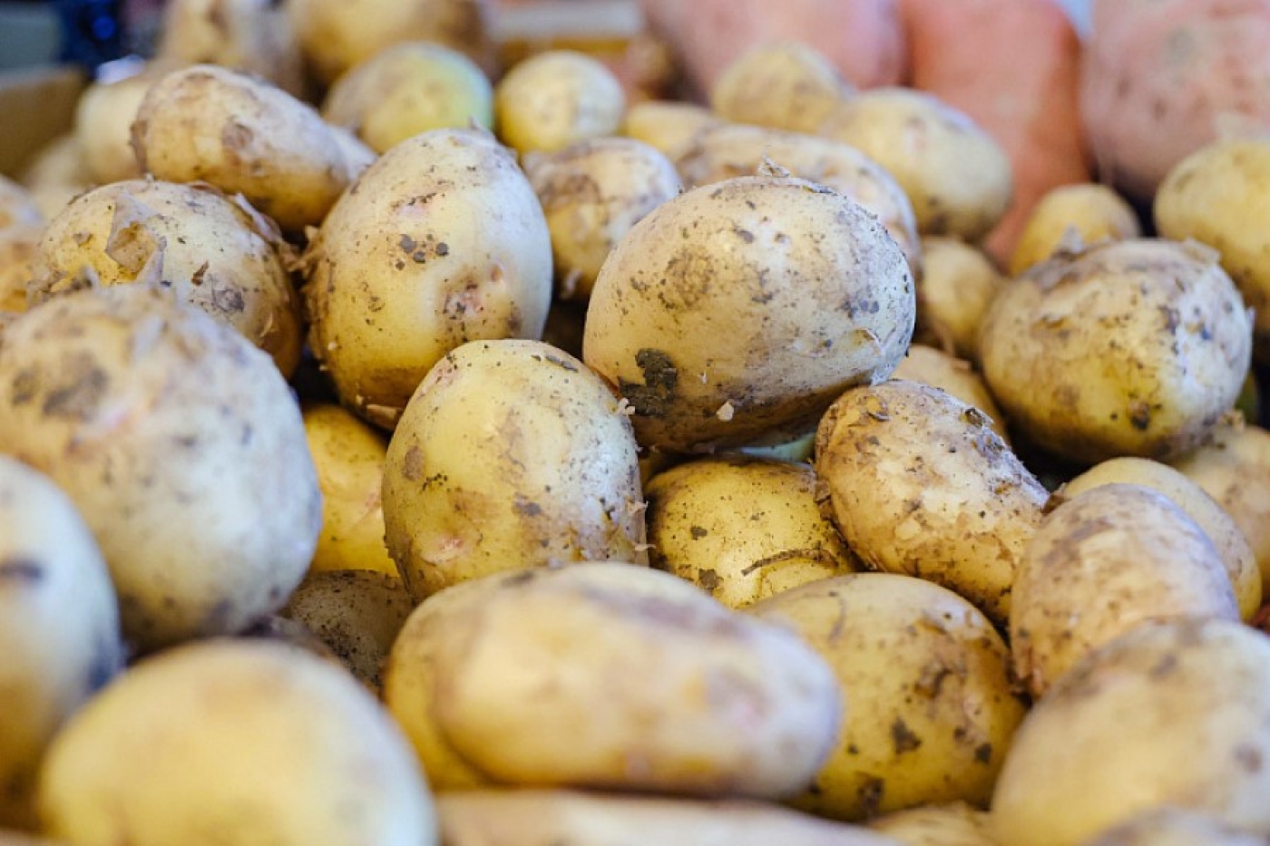 В МАРТ рассказали, когда в магазинах появится молодая белорусская картошка