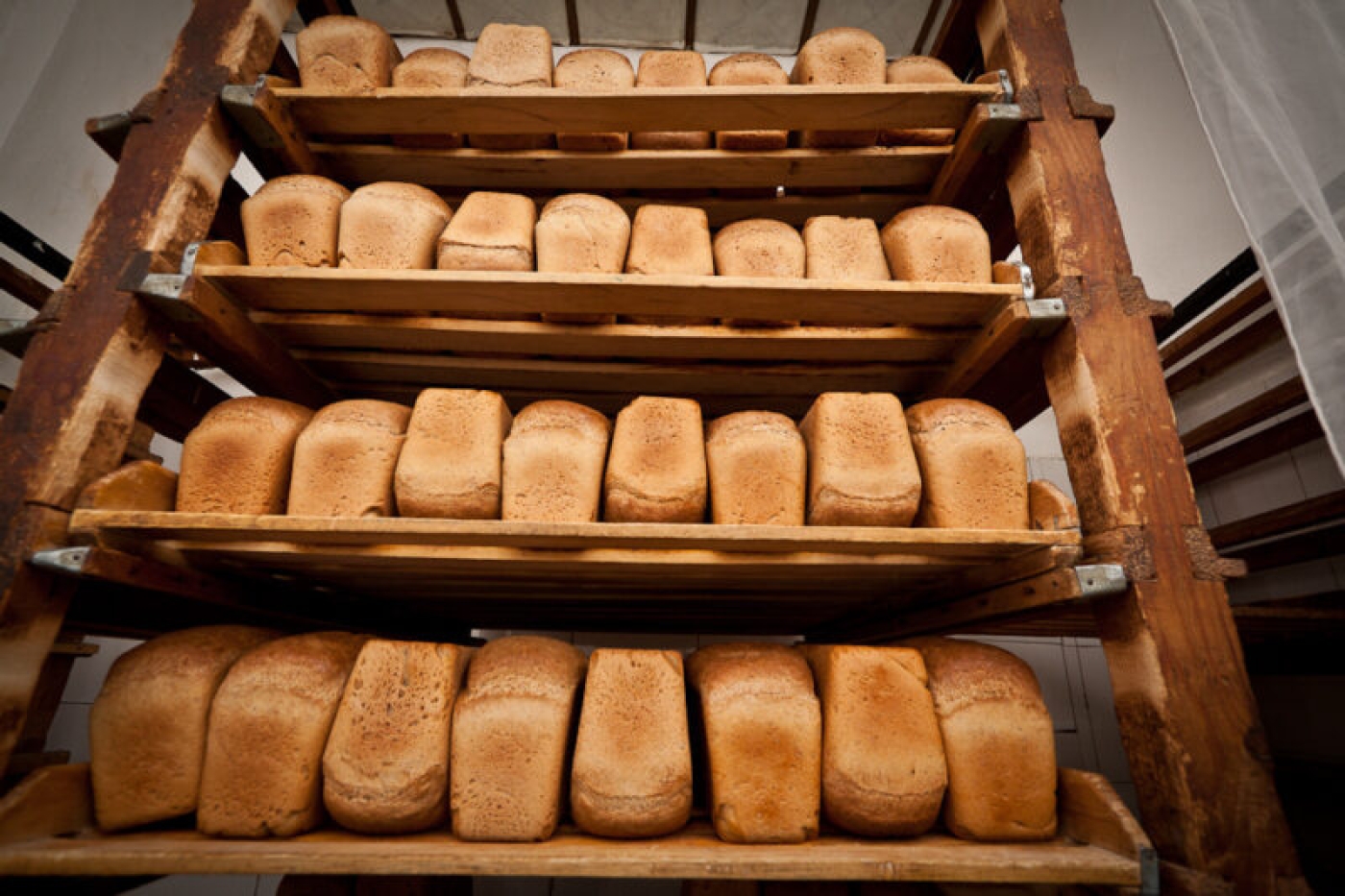 КГК проведет «горячую» линию по вопросам качества хлеба и хлебобулочных изделий