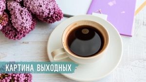 Главные новости за 1 мая