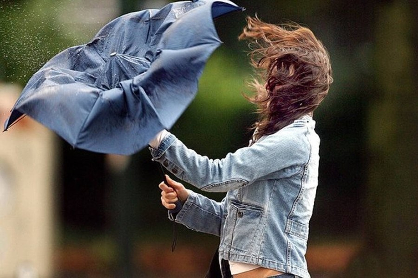 Погода в Беларуси 5 июня: оранжевый уровень опасности из-за гроз и шквалистого ветра и от +10 °С до +31 °С