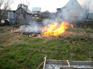МЧС: сжигание мусора на приусадебном участке может привести к возгоранию и нанести ущерб