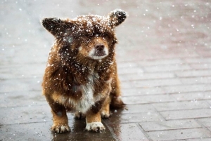 Погода в выходные: дожди, ночные заморозки и до +19 °С днем