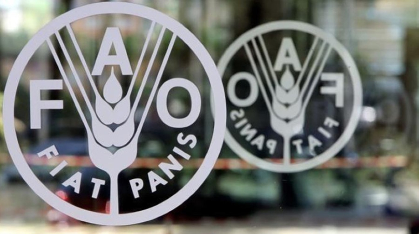 ФАО: более 730 млн человек в мире страдают от голода