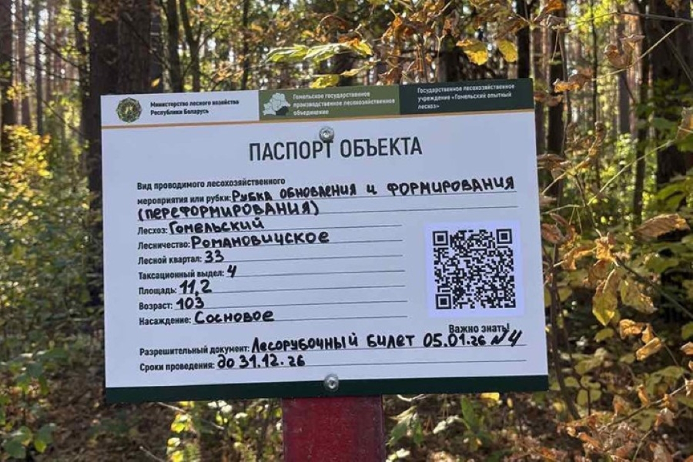 Получить помощь, заказать дрова и узнать о рубках: в белорусских лесах устанавливают спецзнаки