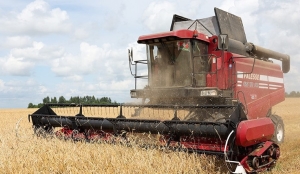 Почти 70% озимого ячменя убрано в Беларуси