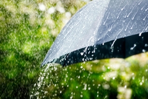 Погода 28 июля: облачно, местами сильные ливни и до +29 °С