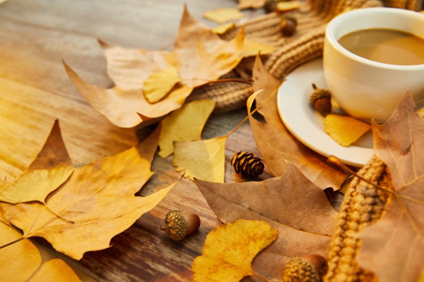 Погода в Беларуси 7 сентября: преимущественно без осадков, слабый туман и от +5 °С ночью до +22 °С днем