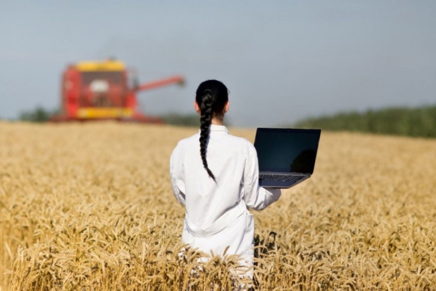 Какие льготы и гарантии предоставляются молодым специалистам, работающим в сельхозорганизациях