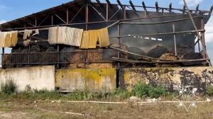 В Калинковичском районе от пожара спасли 50 тонн сена