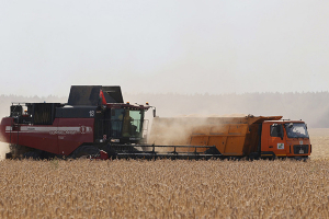 Более 1 млн 860 тыс. тонн зерна намолотили аграрии Минской области