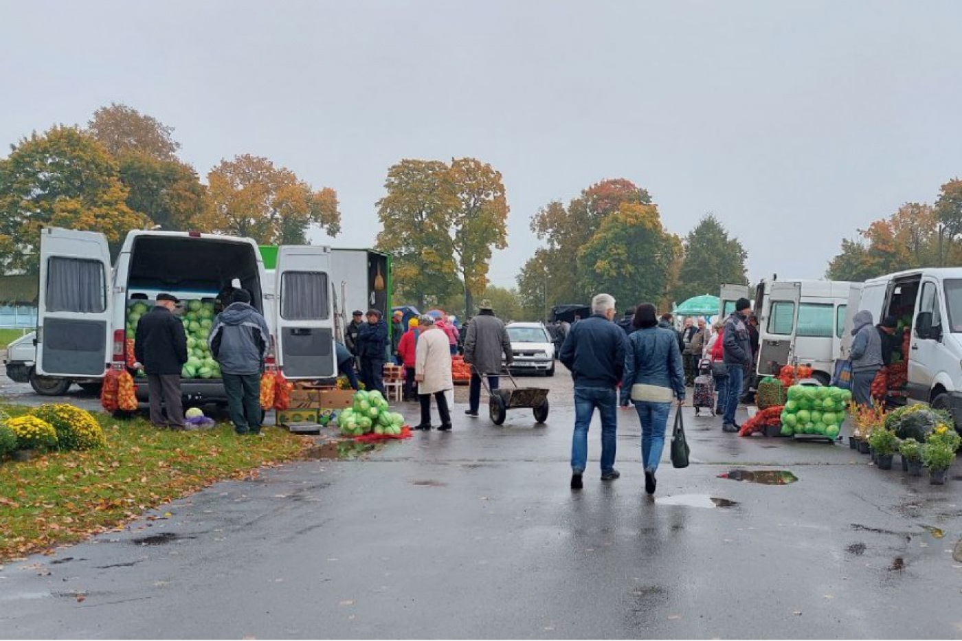 На городском стадионе в Березино сегодня осенняя ярмарка. Что есть? Да все.