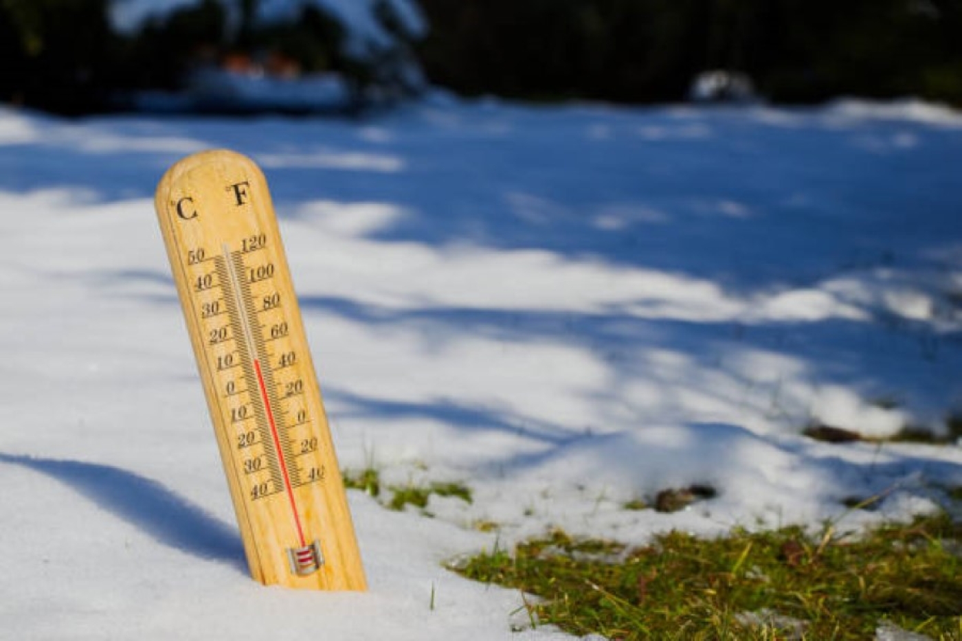 Погода в Беларуси 20 февраля: без осадков, слабый туман и от -2 °С до -13 °С