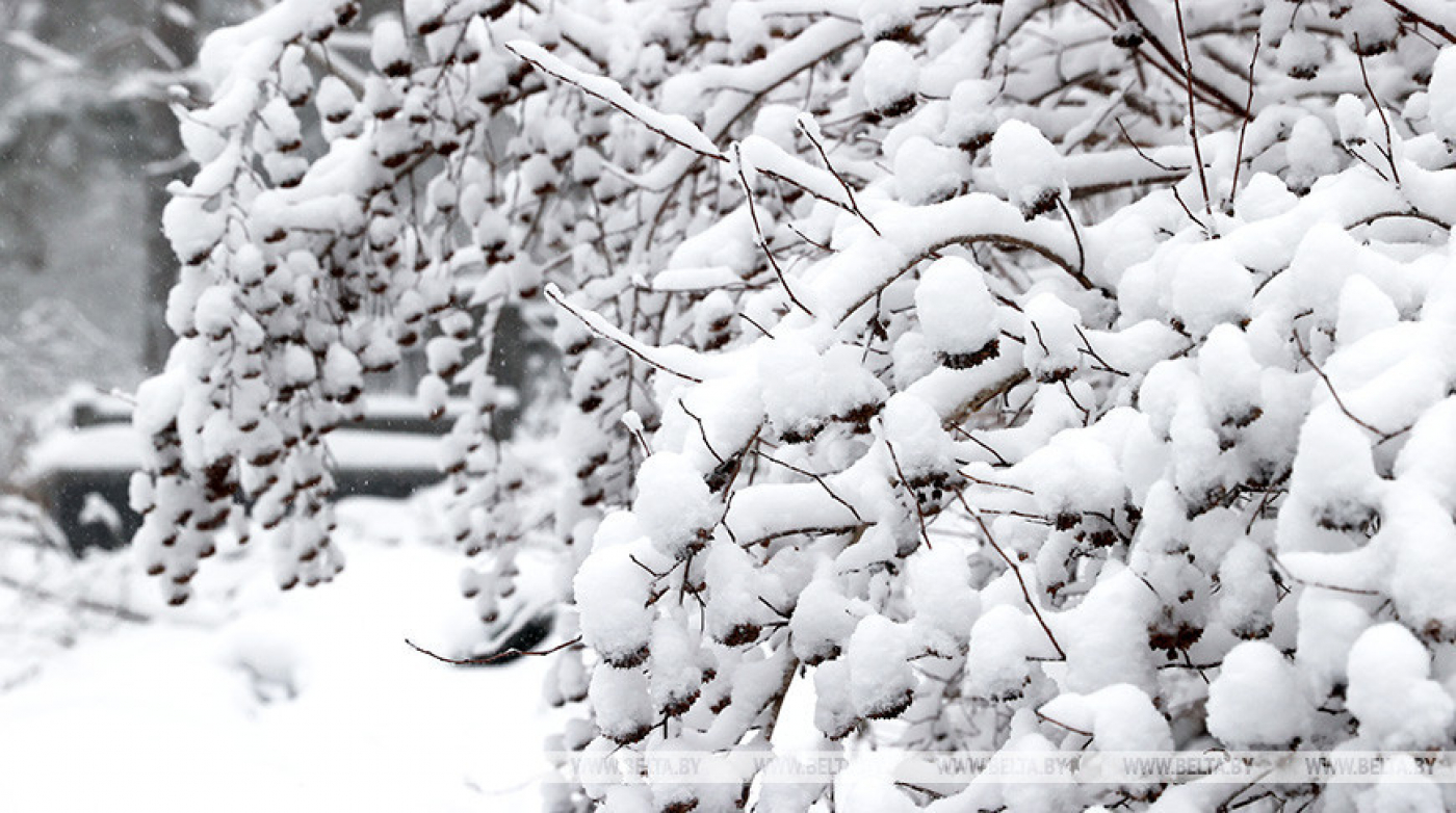 Небольшие осадки и до +5°С ожидается 13 февраля в Беларуси