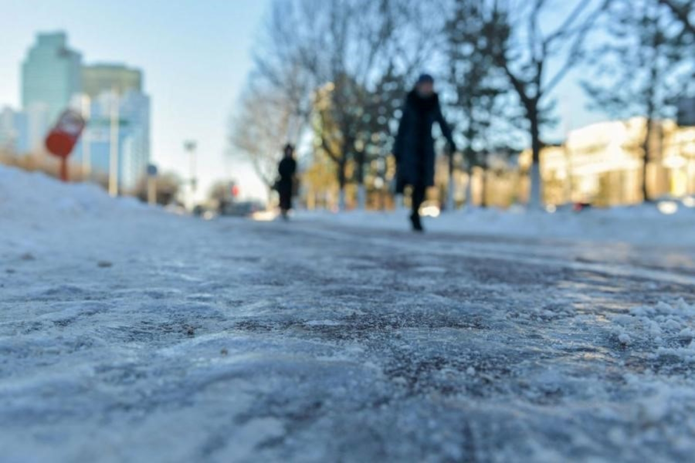 Плюсовая температура и слабый туман ожидаются 7 января в Беларуси