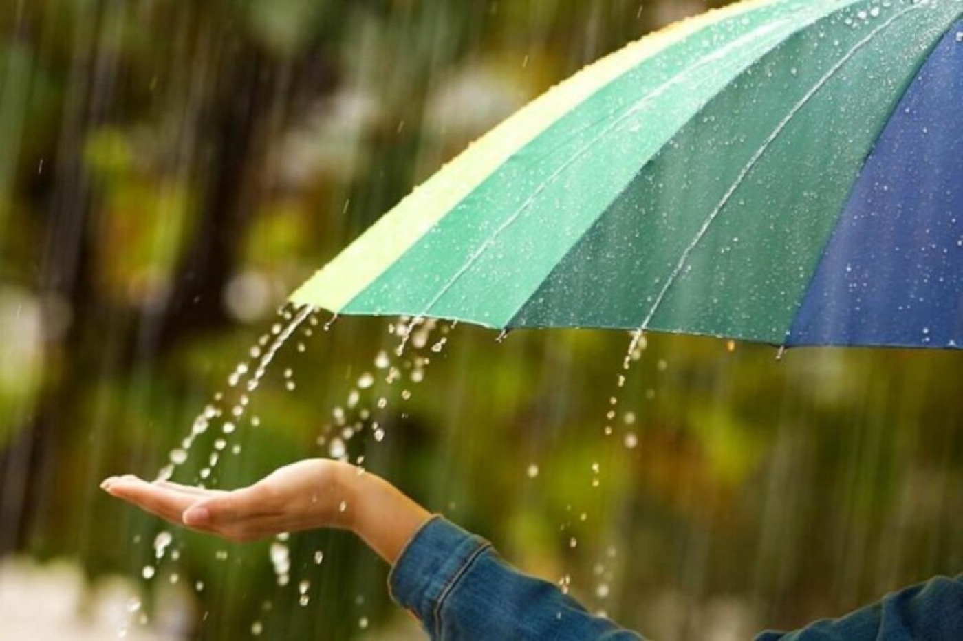 Погода в Беларуси в выходные: кратковременные дожди, порывистый ветер и от +6 °С до +26 °С