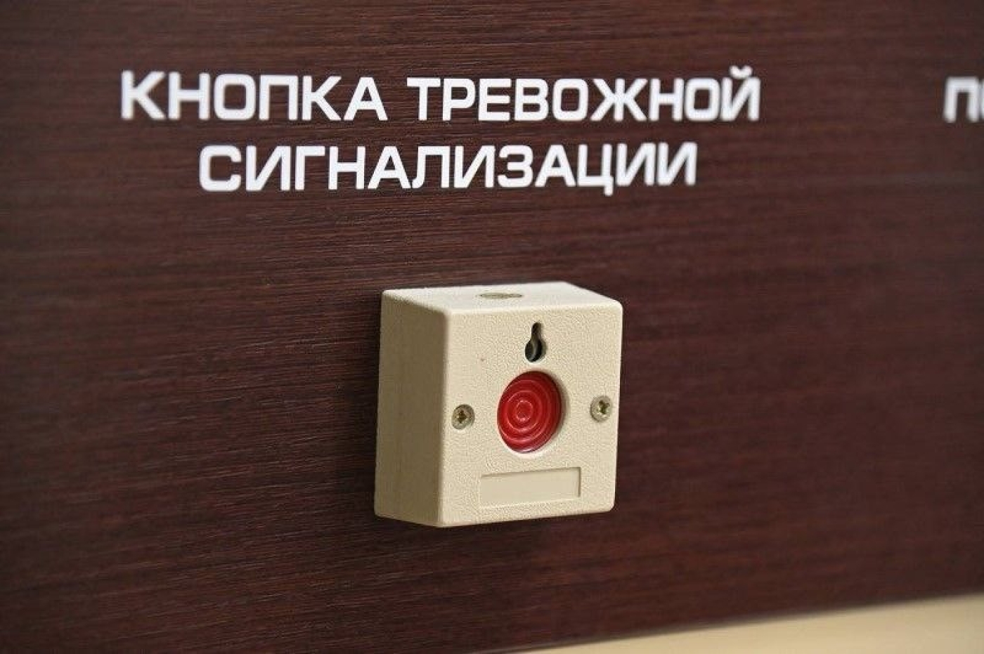 Кнопка тревожной сигнализации: как обезопасить себя и своих родных