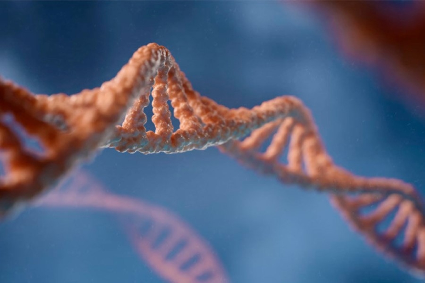 О каких болезнях может предупредить генетический паспорт?