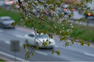 Жизнь не будет прежней: что изменится с 1 мая в Беларуси