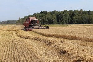 Уборка зерновых на Березинщине перешагнула экватор