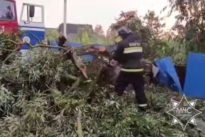 Упавшие деревья, поврежденные авто. Последствия непогоды устраняют в Гомельской и Витебской областях