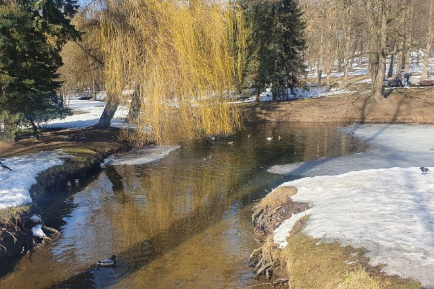 Будет гололедица? О погоде на 11 марта рассказали в Белгидромете