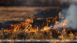 Синоптики предупредили о пожарной опасности в Гомельской и Минской областях 7-9 сентября