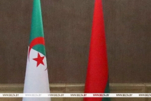 Лукашенко 2-3 декабря совершит официальный визит в Алжир