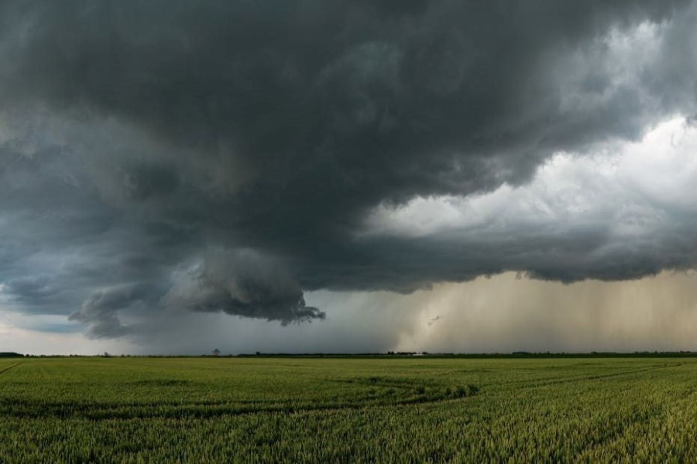 Прогноз погоды на 24 июня: грозы, ливни, сильный ветер и до +23 °С