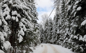 Рябов: зима еще порадует белорусов снегом