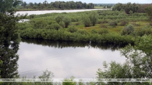 Лопнул надувной матрас: мужчина утонул в Белыничском районе