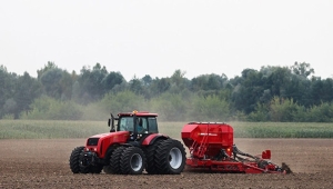 100 тысяч га. Минская область выполнила план сева озимого рапса