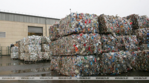 Более 530 фактов засорения отходами окружающей среды выявлено в Беларуси за 2022 год