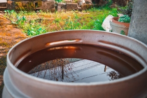 Зачем ставить бочку с водой в теплице: простая хитрость для защиты рассады