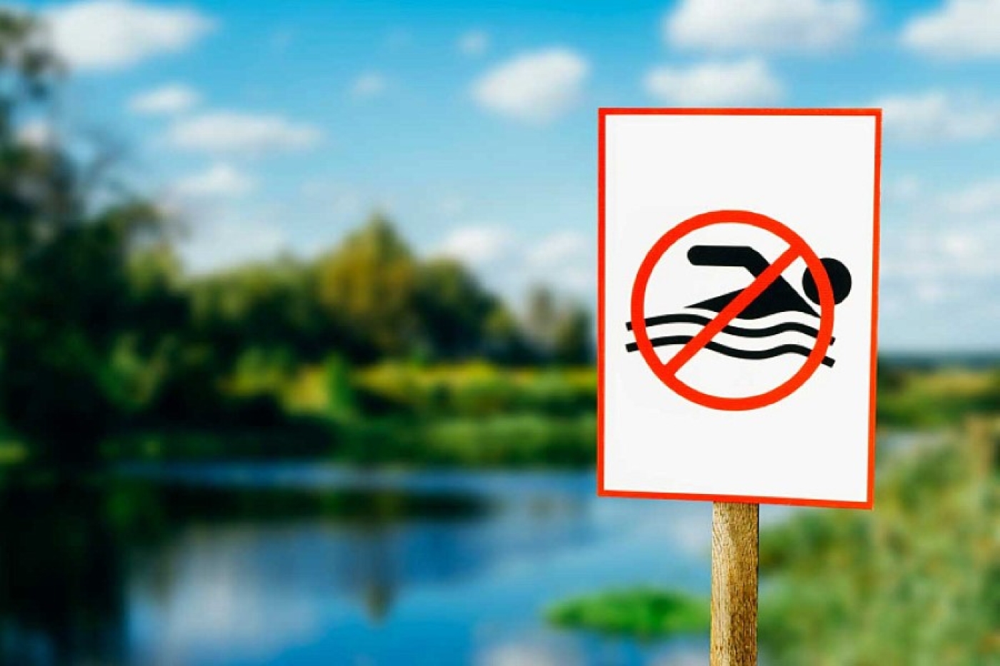 Где в Беларуси запретили купаться перед выходными