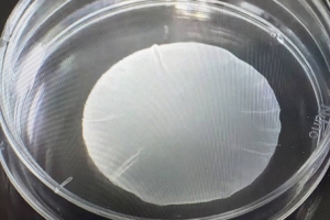 В Японии частично одобрили новый препарат для лечения болезни Паркинсона