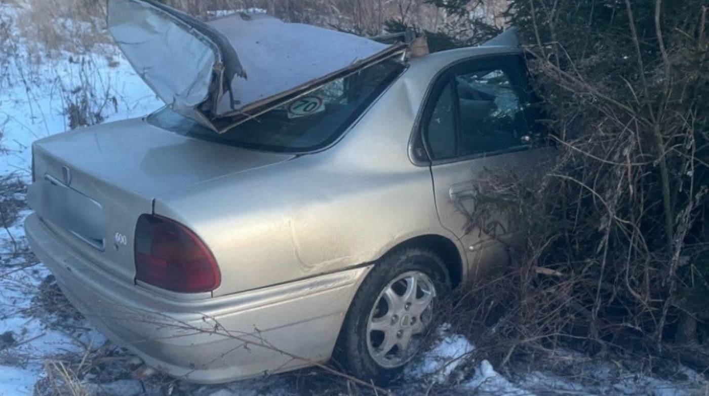 В Дубровенском районе в ДТП с диким животным погиб водитель
