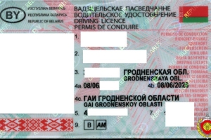 Жителя Волковысского района, пытавшегося обменять в ГАИ поддельные права на настоящие, оштрафовали на 70 базовых