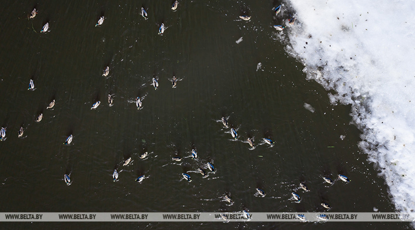 Дожди и сильный ветер ожидаются в Беларуси 4 января