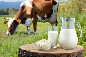 О производстве и реализации сельскохозяйственной продукции в январе-марте 2025 г.